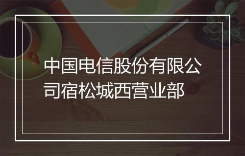 中国电信股份有限公司宿松城西营业部