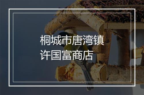 桐城市唐湾镇许国富商店