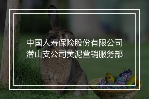中国人寿保险股份有限公司潜山支公司黄泥营销服务部