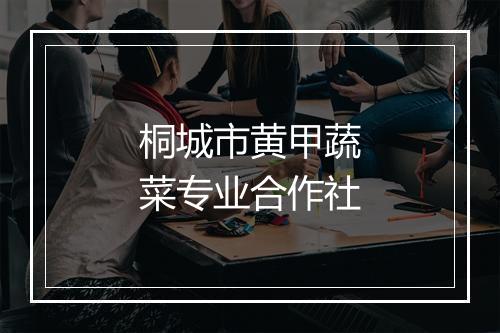 桐城市黄甲蔬菜专业合作社