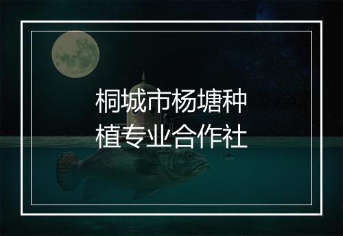 桐城市杨塘种植专业合作社