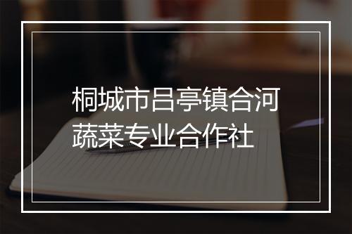 桐城市吕亭镇合河蔬菜专业合作社