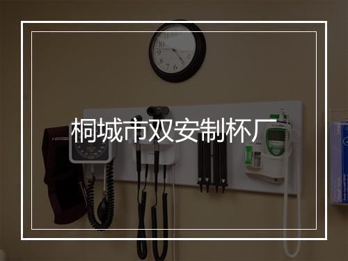 桐城市双安制杯厂