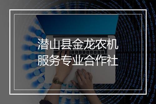 潜山县金龙农机服务专业合作社