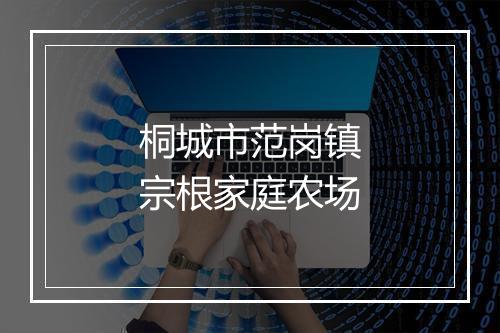 桐城市范岗镇宗根家庭农场