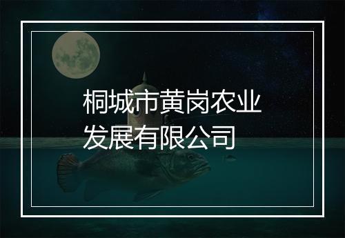 桐城市黄岗农业发展有限公司
