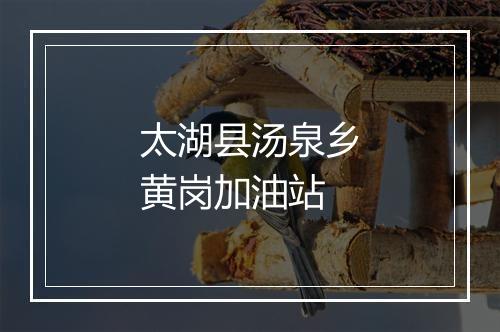 太湖县汤泉乡黄岗加油站