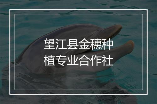望江县金穗种植专业合作社