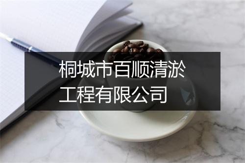 桐城市百顺清淤工程有限公司
