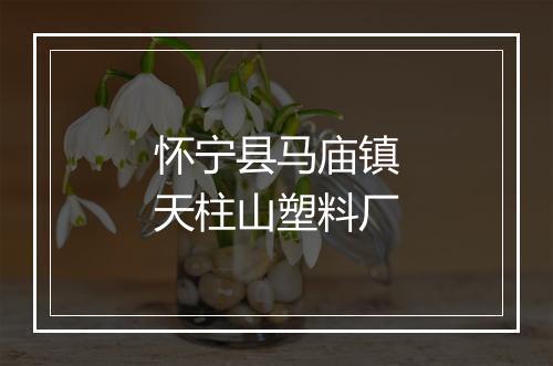 怀宁县马庙镇天柱山塑料厂