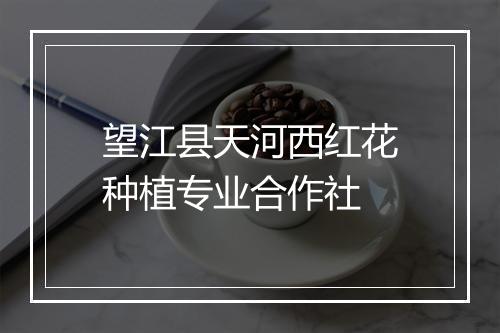望江县天河西红花种植专业合作社