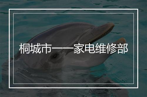 桐城市一一家电维修部
