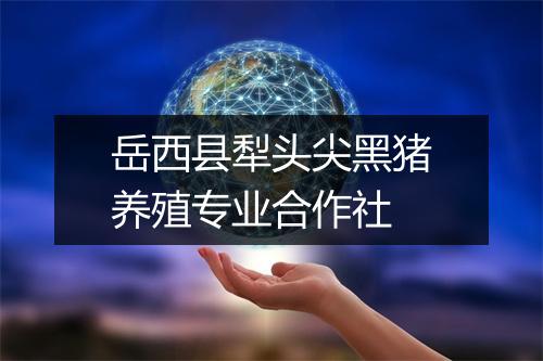 岳西县犁头尖黑猪养殖专业合作社