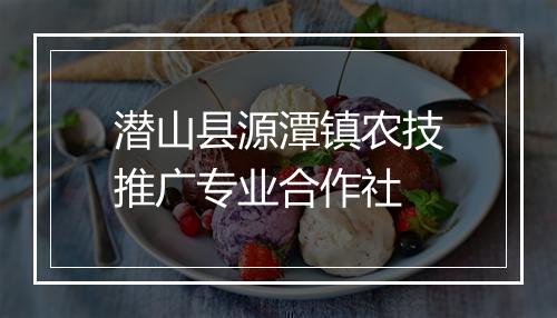潜山县源潭镇农技推广专业合作社