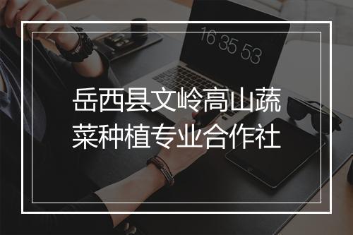岳西县文岭高山蔬菜种植专业合作社