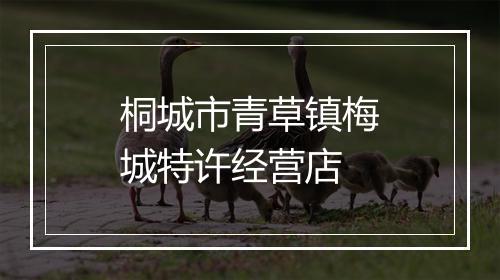 桐城市青草镇梅城特许经营店