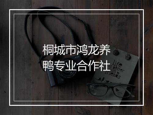 桐城市鸿龙养鸭专业合作社