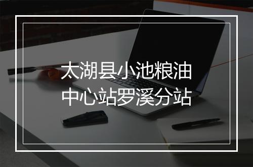 太湖县小池粮油中心站罗溪分站