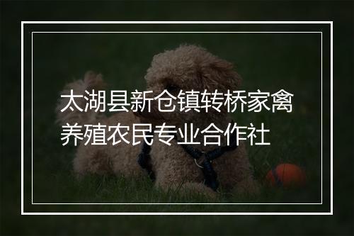 太湖县新仓镇转桥家禽养殖农民专业合作社