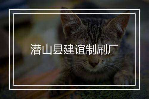 潜山县建谊制刷厂