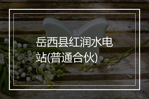 岳西县红润水电站(普通合伙)