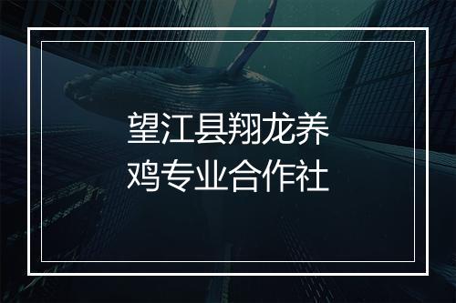 望江县翔龙养鸡专业合作社