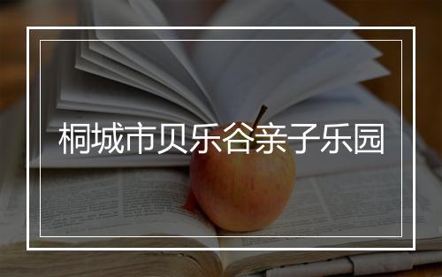 桐城市贝乐谷亲子乐园