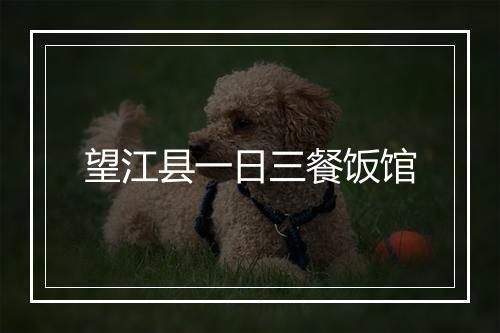 望江县一日三餐饭馆