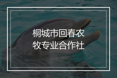 桐城市回春农牧专业合作社