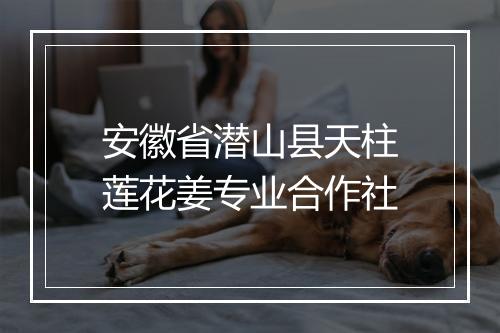 安徽省潜山县天柱莲花姜专业合作社
