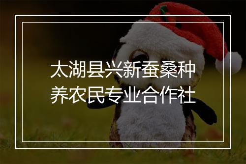 太湖县兴新蚕桑种养农民专业合作社