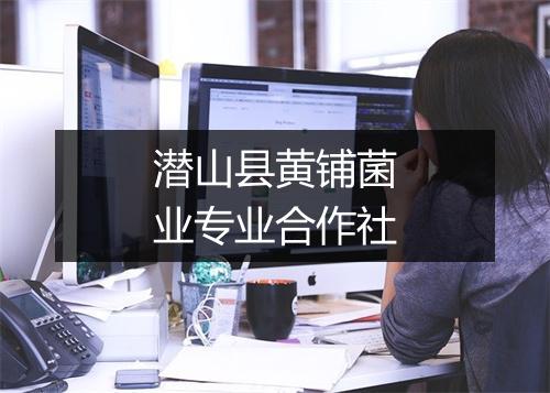 潜山县黄铺菌业专业合作社