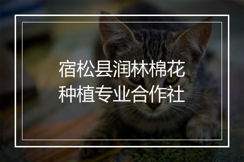 宿松县润林棉花种植专业合作社