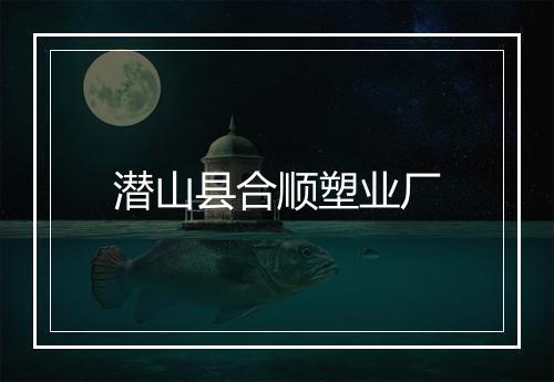 潜山县合顺塑业厂