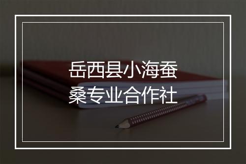 岳西县小海蚕桑专业合作社