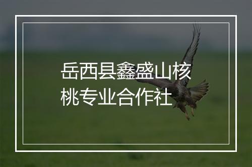 岳西县鑫盛山核桃专业合作社