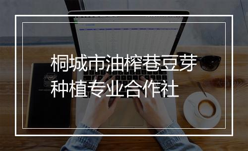 桐城市油榨巷豆芽种植专业合作社