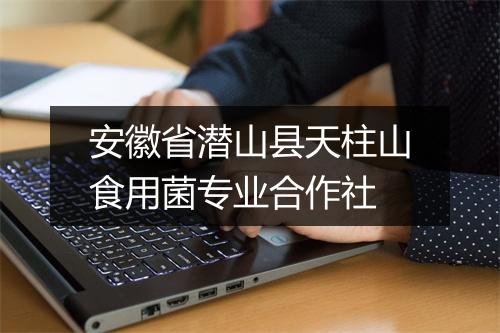 安徽省潜山县天柱山食用菌专业合作社