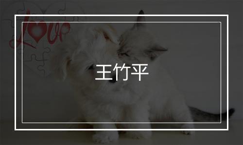 王竹平
