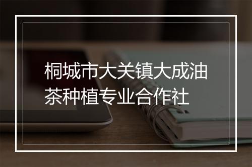 桐城市大关镇大成油茶种植专业合作社