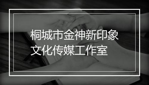 桐城市金神新印象文化传媒工作室