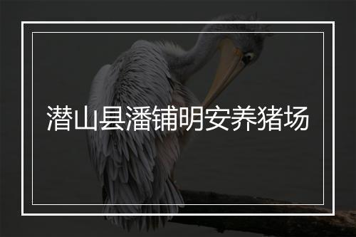 潜山县潘铺明安养猪场