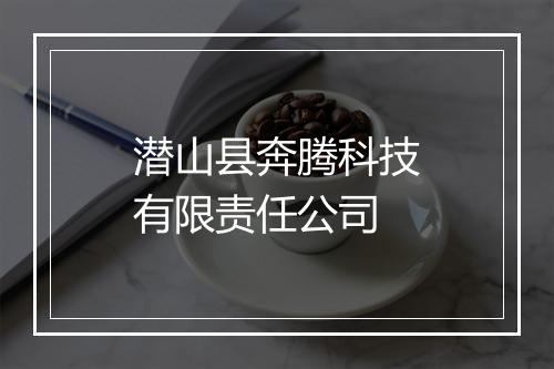 潜山县奔腾科技有限责任公司