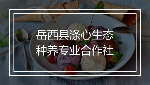岳西县涤心生态种养专业合作社