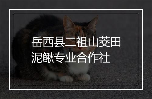 岳西县二祖山茭田泥鳅专业合作社