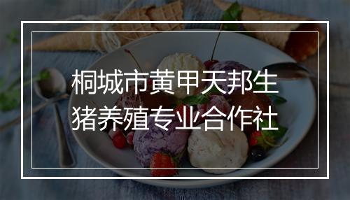 桐城市黄甲天邦生猪养殖专业合作社