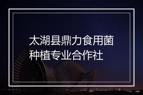 太湖县鼎力食用菌种植专业合作社