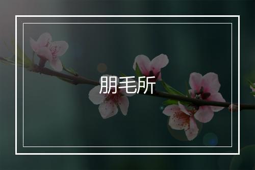 朋毛所