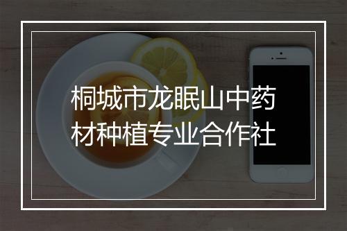 桐城市龙眠山中药材种植专业合作社