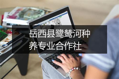岳西县鹭鸶河种养专业合作社